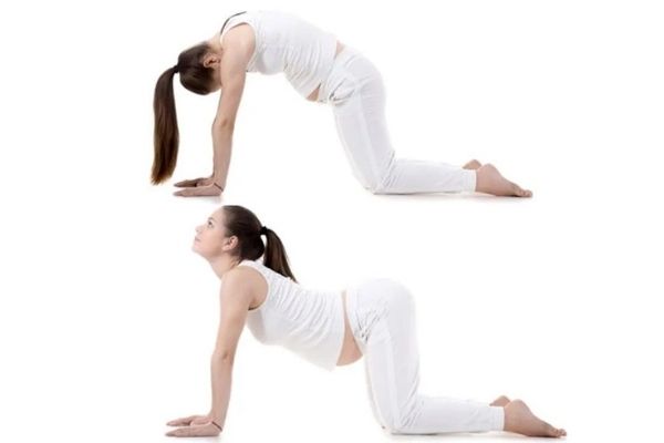 yoga asanas for migraine at Shwet yoga classes in thane 