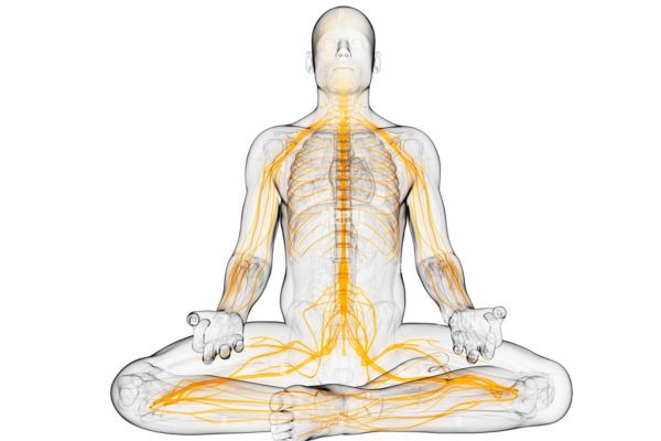 yoga for gut health by shwet yoga classes in thane west