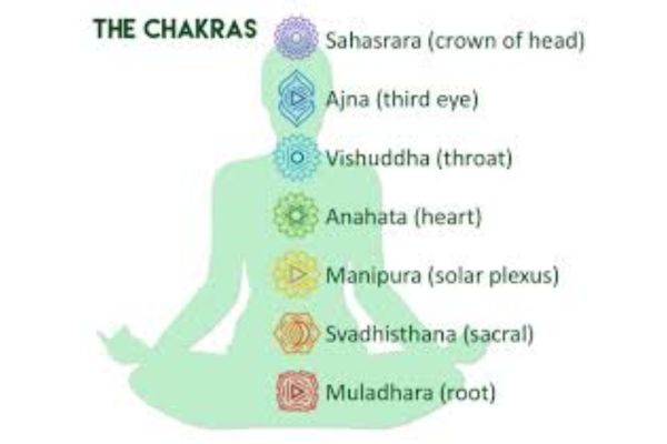 chakras and nadis explained by shwwt yoga classes in thane west