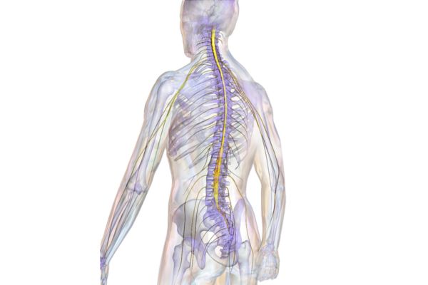 low intensity yoga for Osteoporosis by shwet yoga in thane